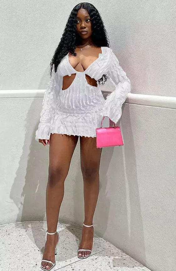 Mesh Ruffled Trim U Neck Long Sleeve Cut Out Slim Fit Vacation White Mini Dresses
